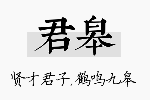 君皋名字的寓意及含义