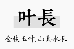 叶长名字的寓意及含义