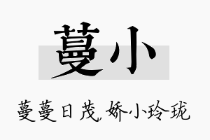 蔓小名字的寓意及含义