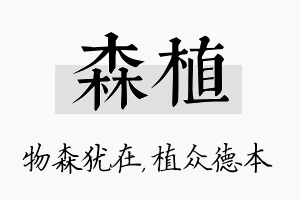 森植名字的寓意及含义