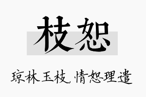 枝恕名字的寓意及含义