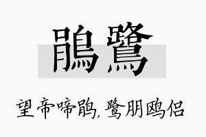 鹃鹭名字的寓意及含义