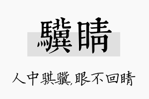 骥睛名字的寓意及含义