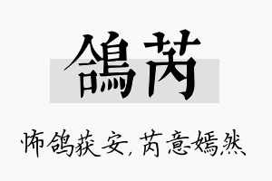 鸽芮名字的寓意及含义