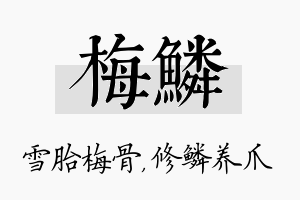 梅鳞名字的寓意及含义