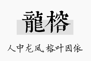 龙榕名字的寓意及含义