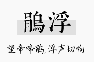 鹃浮名字的寓意及含义