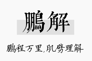 鹏解名字的寓意及含义