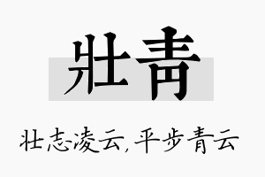 壮青名字的寓意及含义