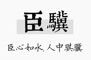 臣骥名字的寓意及含义