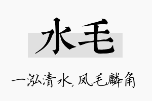 水毛名字的寓意及含义