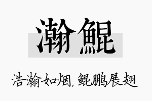 瀚鲲名字的寓意及含义