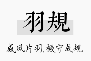 羽规名字的寓意及含义