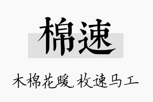 棉速名字的寓意及含义