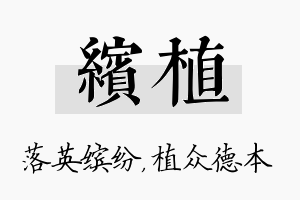 缤植名字的寓意及含义