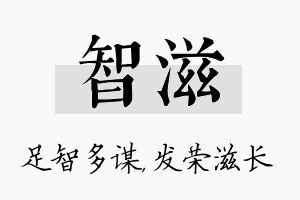 智滋名字的寓意及含义