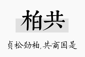 柏共名字的寓意及含义