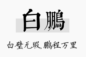 白鹏名字的寓意及含义