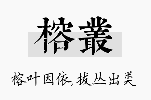 榕丛名字的寓意及含义