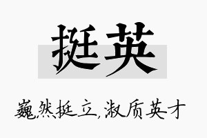 挺英名字的寓意及含义