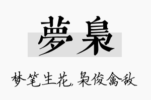 梦枭名字的寓意及含义