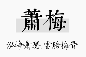 萧梅名字的寓意及含义