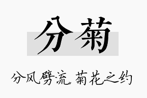 分菊名字的寓意及含义