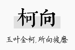 柯向名字的寓意及含义