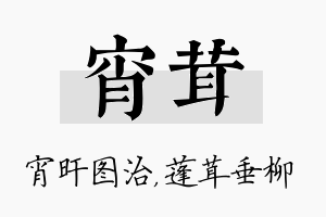 宵茸名字的寓意及含义