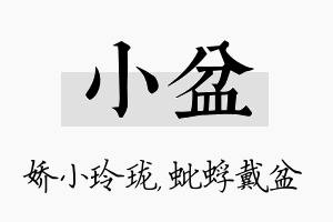 小盆名字的寓意及含义