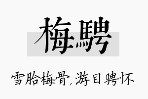 梅骋名字的寓意及含义