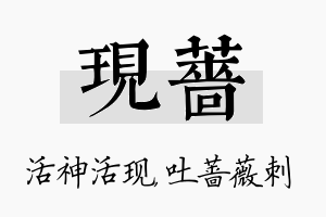 现蔷名字的寓意及含义