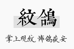 纹鸽名字的寓意及含义