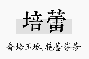 培蕾名字的寓意及含义