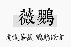 薇鹦名字的寓意及含义