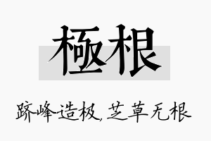 极根名字的寓意及含义