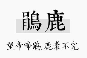 鹃鹿名字的寓意及含义