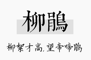 柳鹃名字的寓意及含义