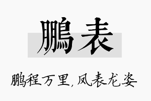 鹏表名字的寓意及含义