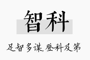 智科名字的寓意及含义