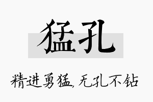 猛孔名字的寓意及含义