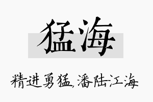 猛海名字的寓意及含义