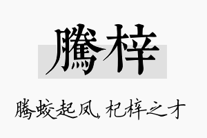 腾梓名字的寓意及含义