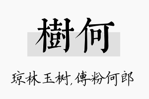 树何名字的寓意及含义