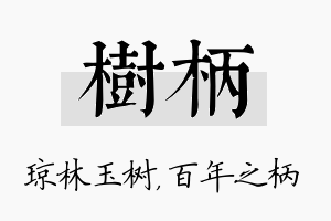 树柄名字的寓意及含义