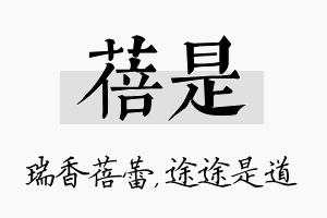 蓓是名字的寓意及含义