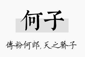 何子名字的寓意及含义