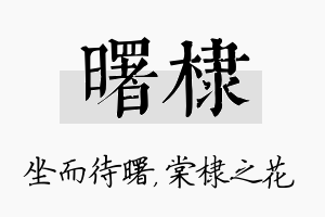 曙棣名字的寓意及含义