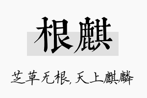 根麒名字的寓意及含义