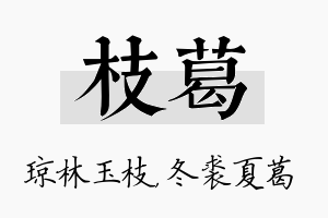 枝葛名字的寓意及含义